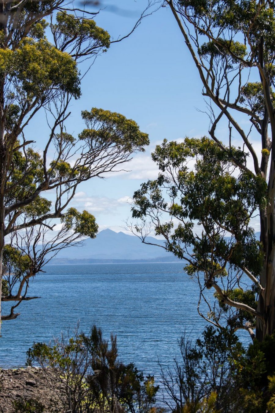 View of Sheep Wash Bay - Tasmania